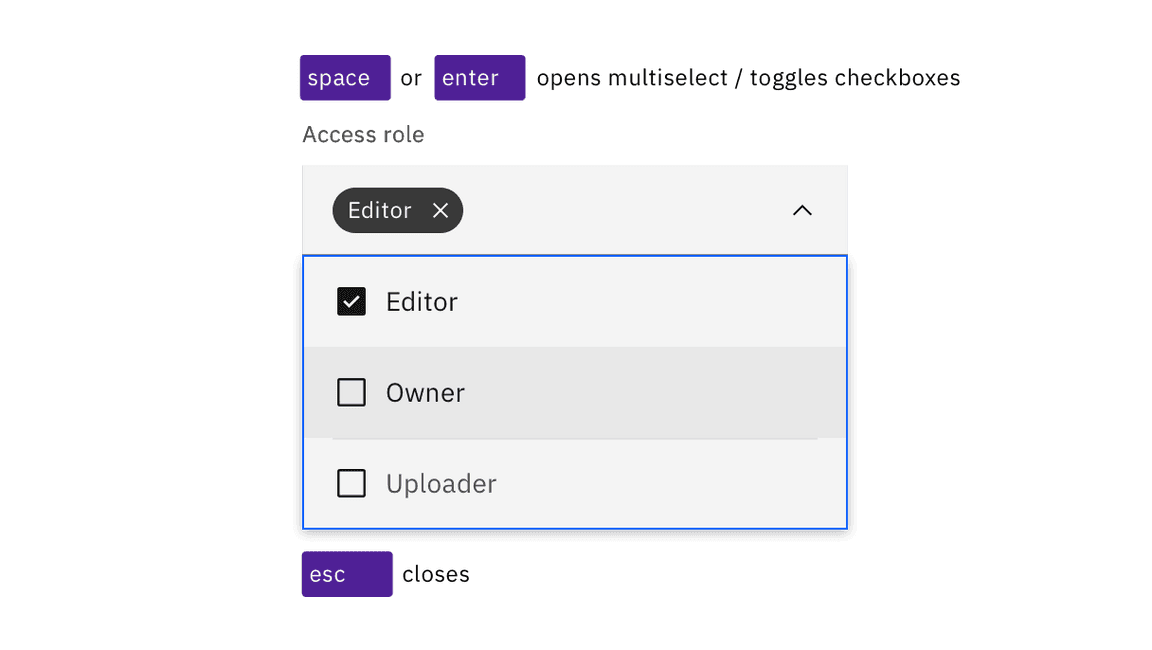 Space and Enter keys open multiselects and toggle the selection of checkbox options. Esc closes.