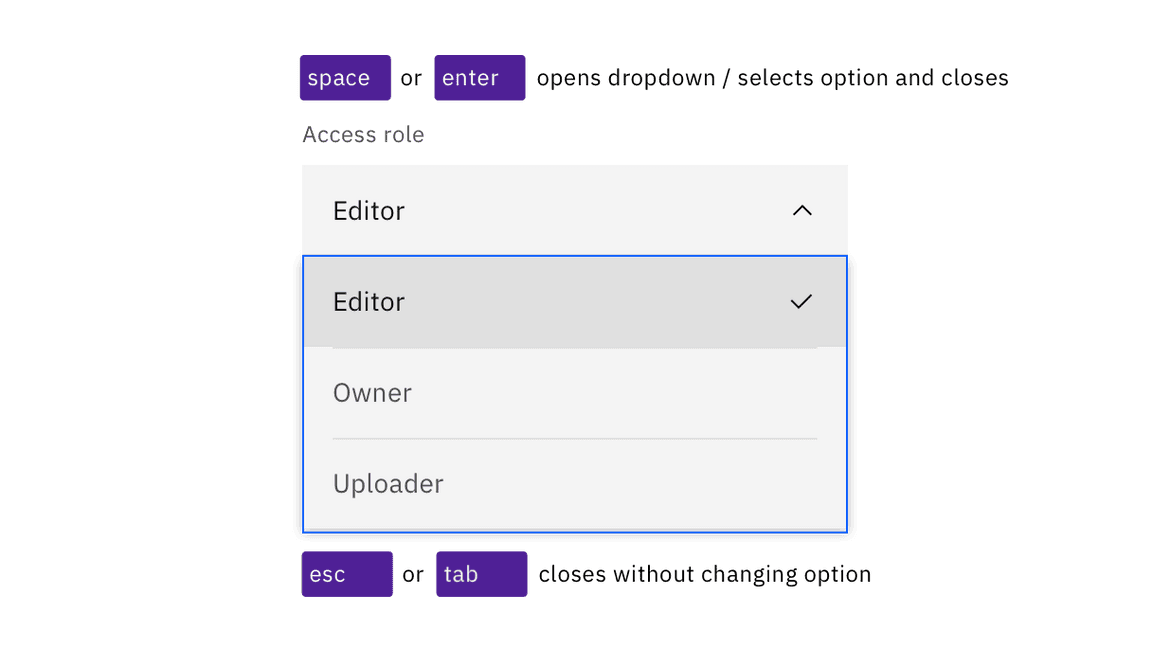 Dropdowns are activated and their options selected with Space or Enter keys. Esc closes without changing option